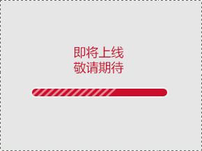 20151216074402312